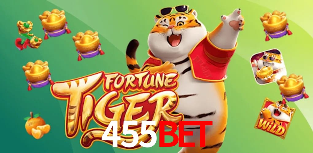 Experiência VIP 455BET